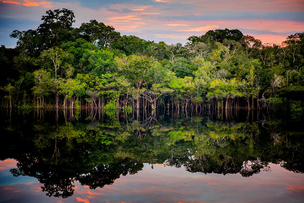 Amazônia