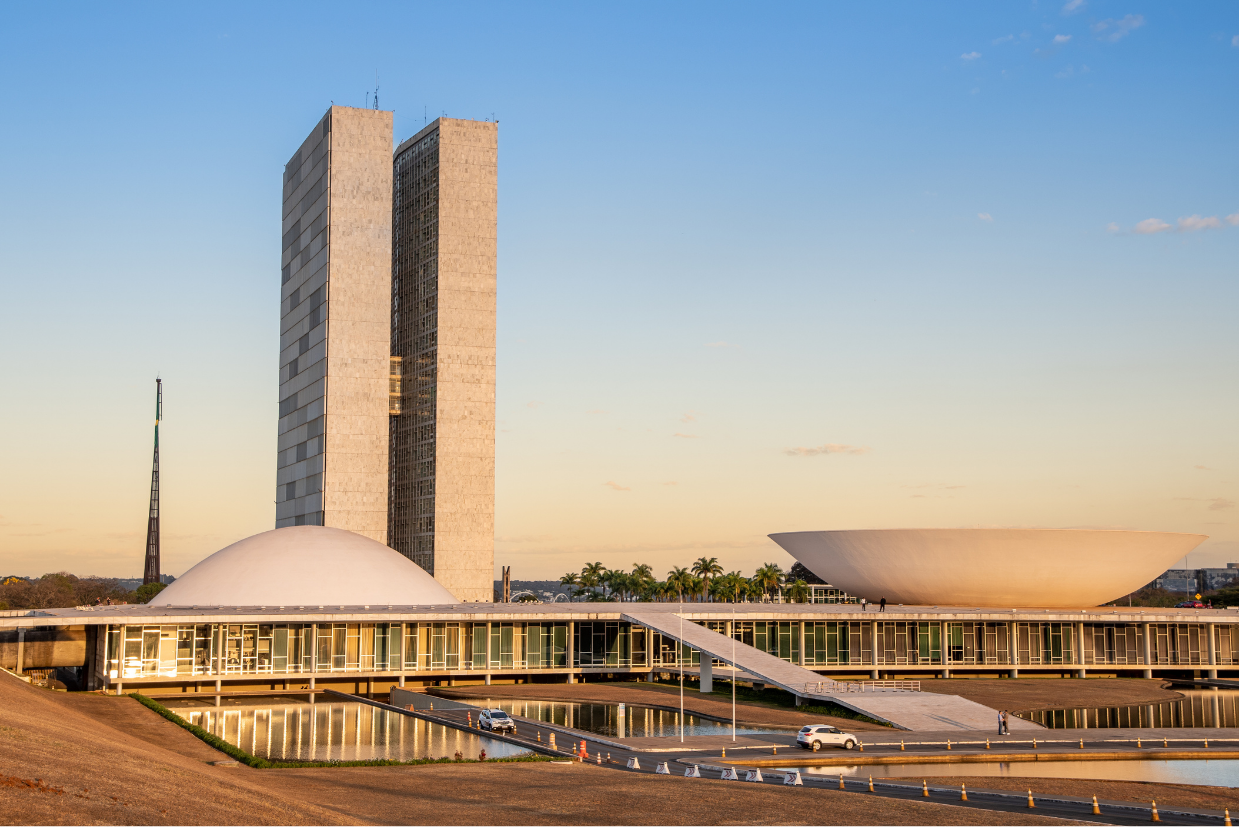 Tribuna da Internet | Mais homens brancos e menos mulheres negras estão entre jovens que disputam Legislativo em 2026