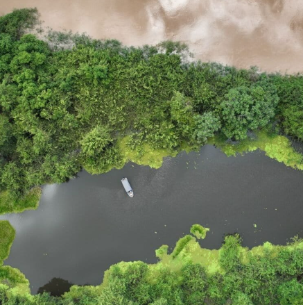Peixes do rio Araguaia e contaminação por mercúrio
