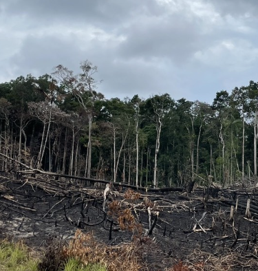 Fumaça em Manaus
